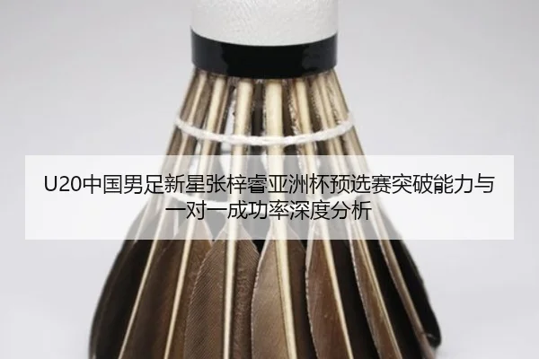 zhong-guo-nan-zu-xin-xing-zhang-zi-rui-ya-zhou-bei-yu-xuan-sai-tu-po-neng-li-yu-yi-dui-yi-cheng-gong-lv-shen-du-fen-xi-2-688.jpg