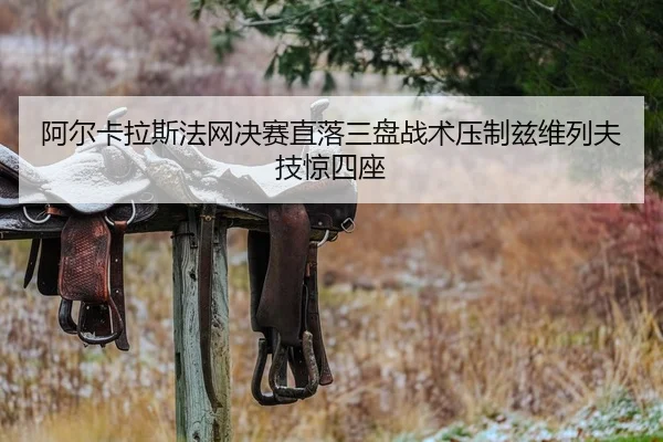 a-er-ka-la-si-fa-wang-jue-sai-zhi-luo-san-pan-zhan-shu-ya-zhi-zi-wei-lie-fu-ji-jing-si-zuo-2-129.jpg